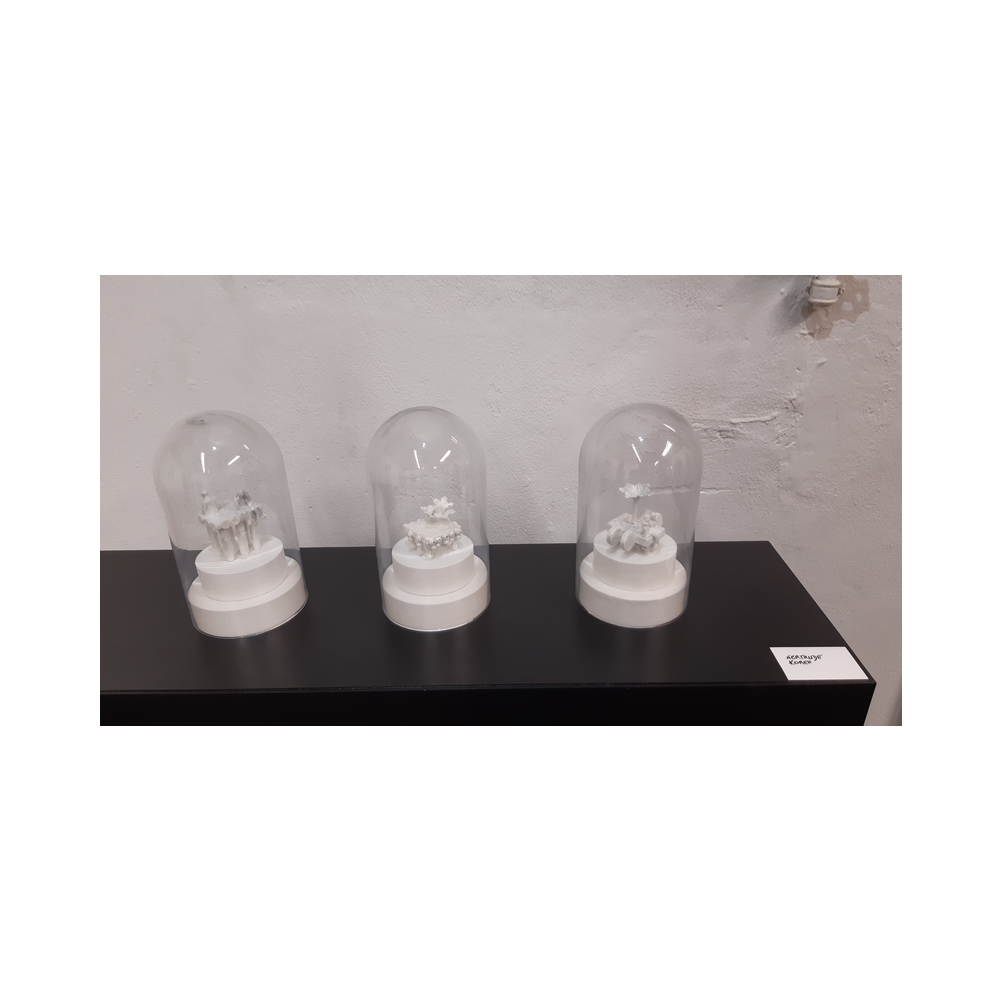 Besuch Kunstfabrik Bärnbach und Eisenfleisch Essen vom Legat Patria Lipizzianae Styriae