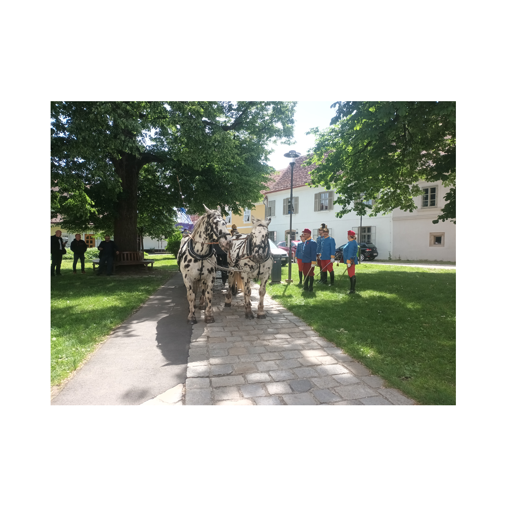 Consulatsfest Steiermanr an der Grenze zu Radkersburg, Agappe, Festzug, Kirche und Festrede bei der Einweihung des Friedensdekmals Galus Pacis