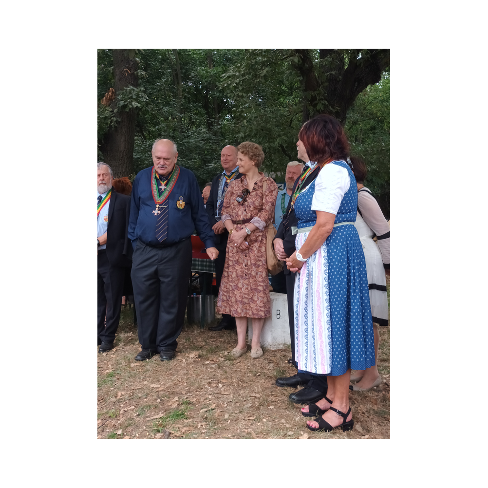 Pan Euroüpa Picknick vor dem Landhaus in Eisenstadt. Aufstellung und Festzug. Bilder von der Grenze zu Ungarn.