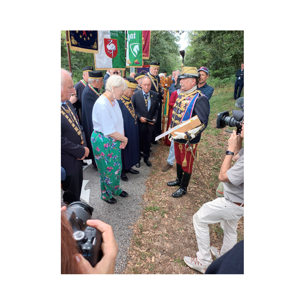 Pan Euroüpa Picknick vor dem Landhaus in Eisenstadt. Aufstellung und Festzug. Bilder von der Grenze zu Ungarn.