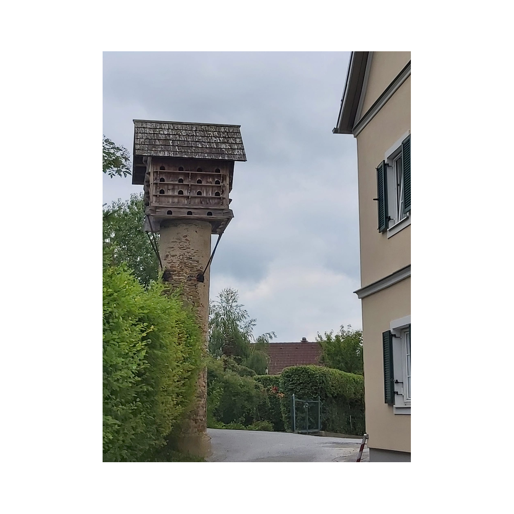 Schmankerlwanderung in Ligist vom Legat Patria Lipizzanae Styriae, Ansprache, Speisen und Ausklang