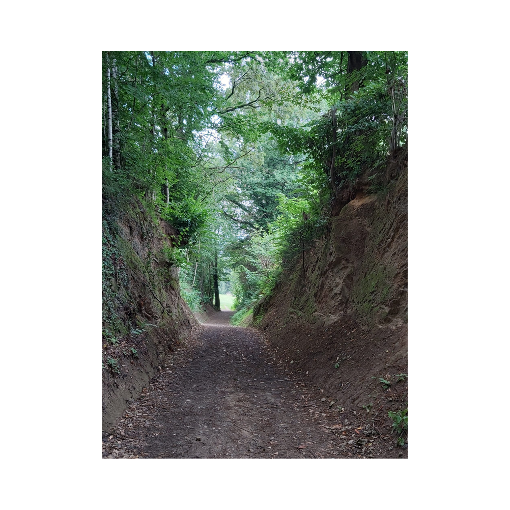 Schmankerlwanderung in Ligist vom Legat Patria Lipizzanae Styriae, Ansprache, Speisen und Ausklang