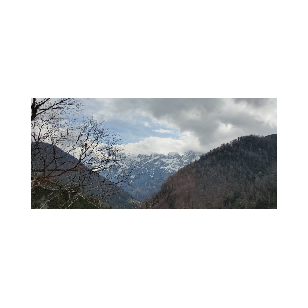 Venedigreise vom Legat Patria Lipizzanae Styriae, Bilder der Reise