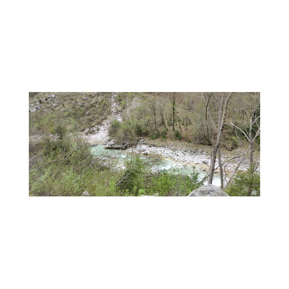 Venedigreise vom Legat Patria Lipizzanae Styriae, Bilder der Reise