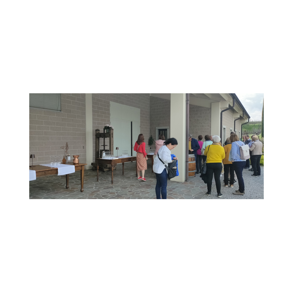 Venedigreise vom Legat Patria Lipizzanae Styriae, Bilder der Reise