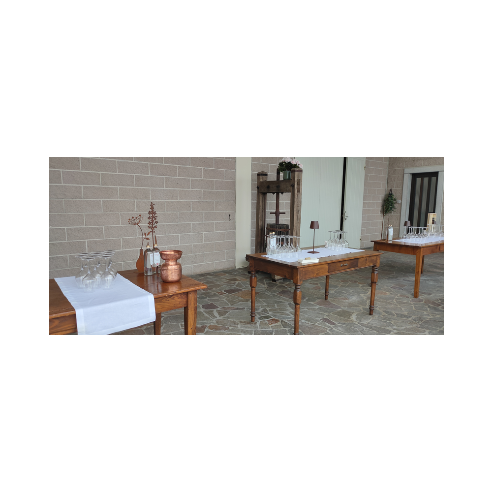 Venedigreise vom Legat Patria Lipizzanae Styriae, Bilder der Reise