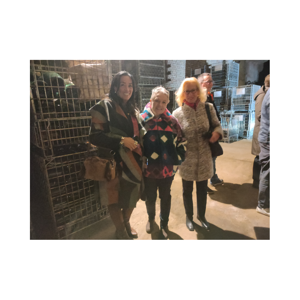 Sektverkostung in der Kellerei Harkamp. Kellerbesuch, Verkostung und Vorträge