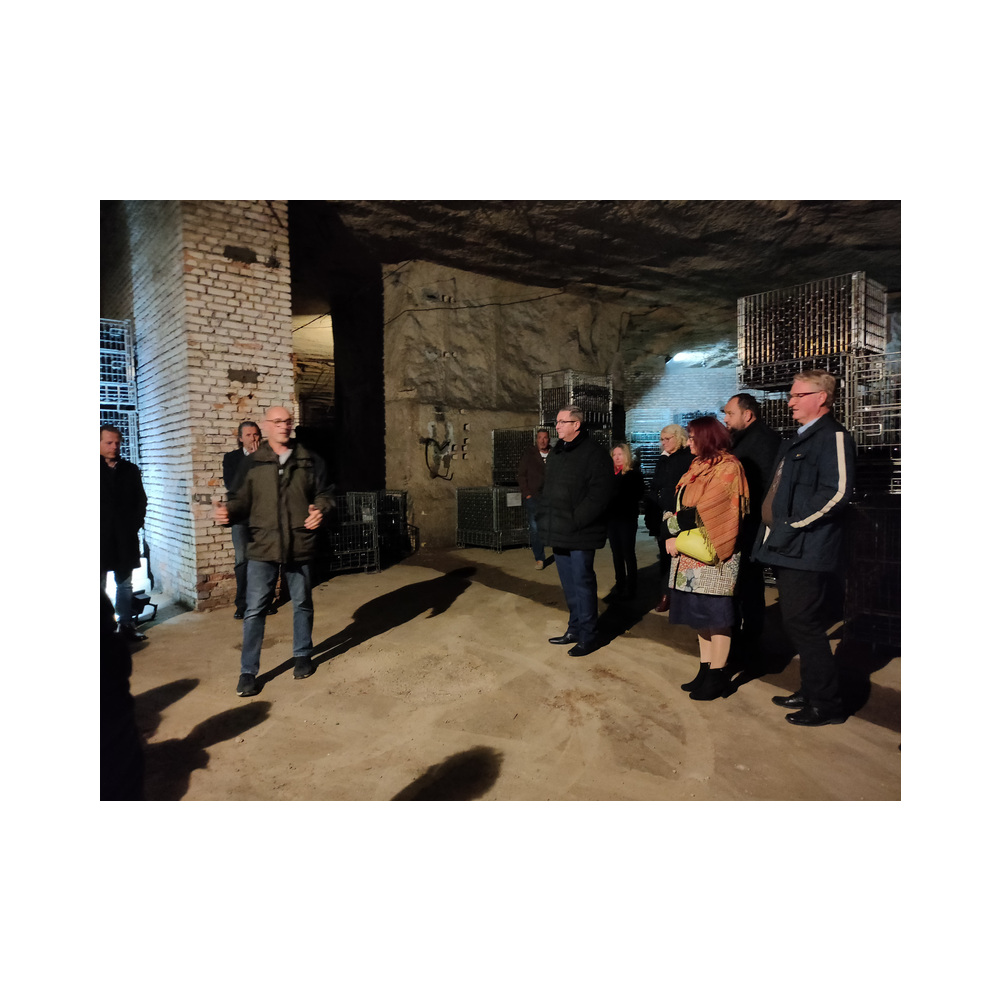 Sektverkostung in der Kellerei Harkamp. Kellerbesuch, Verkostung und Vorträge