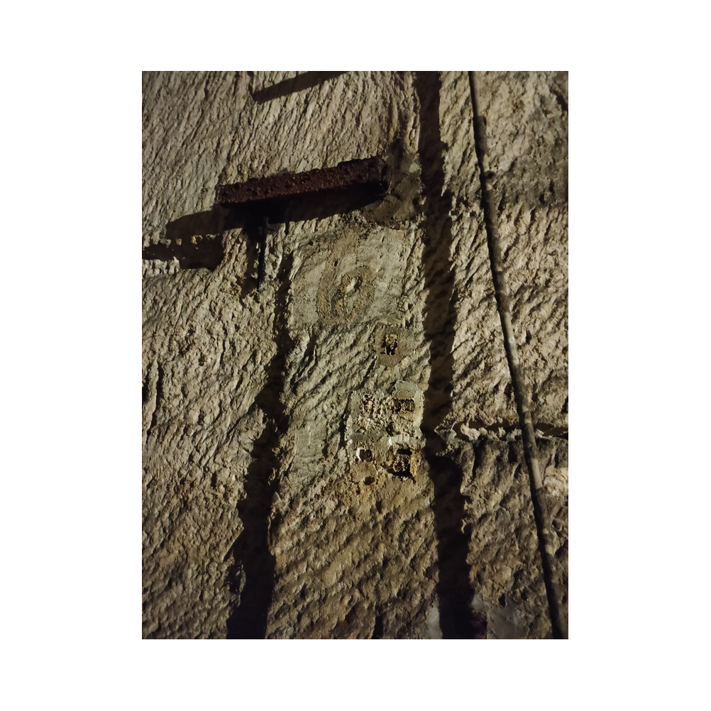 Sektverkostung in der Kellerei Harkamp. Kellerbesuch, Verkostung und Vorträge