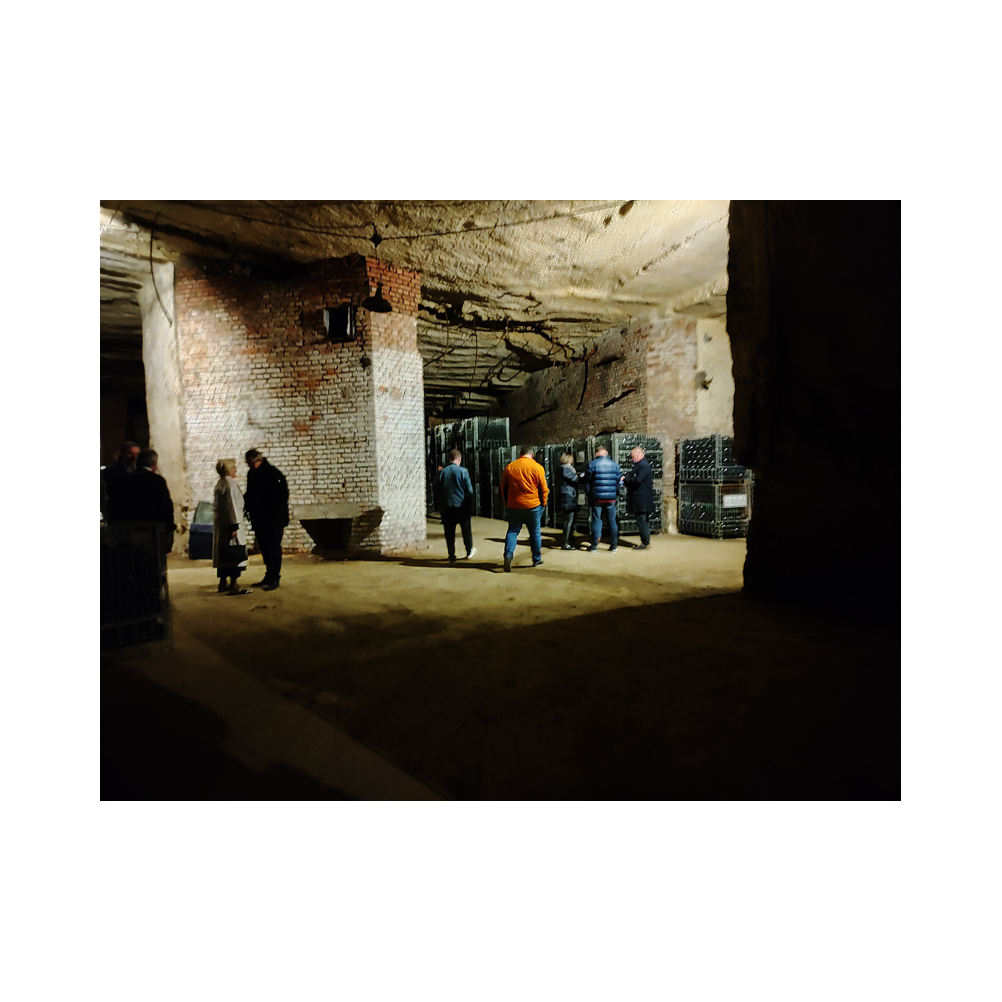 Sektverkostung in der Kellerei Harkamp. Kellerbesuch, Verkostung und Vorträge