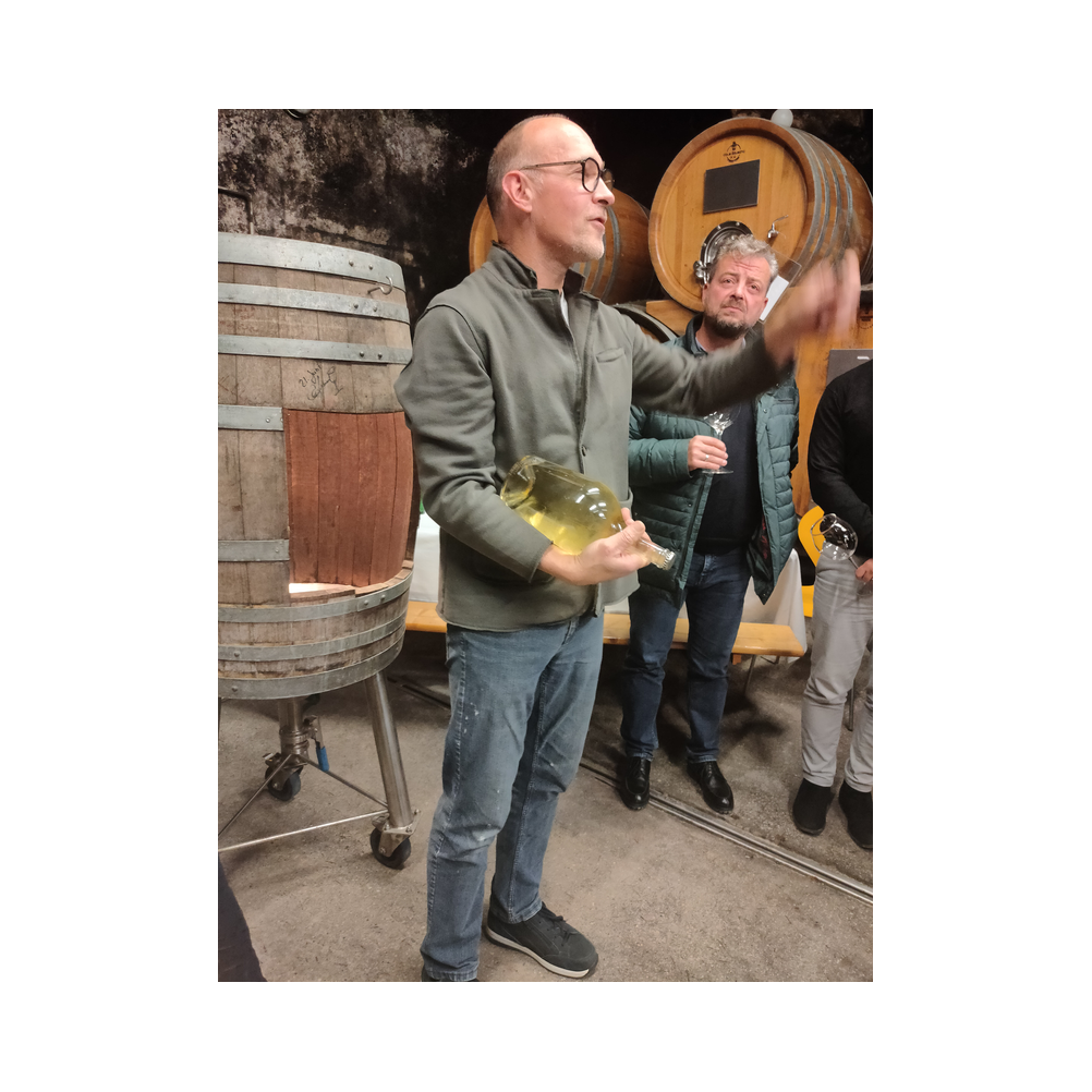 Sektverkostung in der Kellerei Harkamp. Kellerbesuch, Verkostung und Vorträge