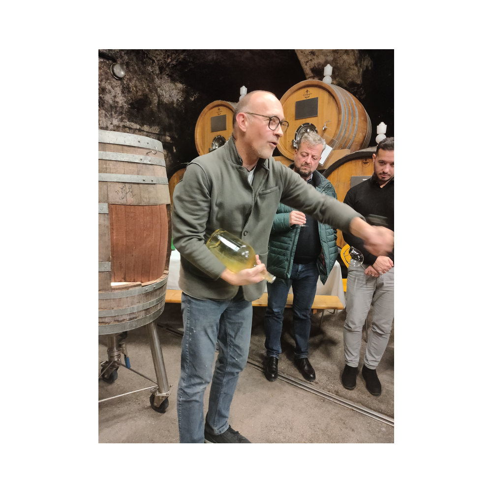 Sektverkostung in der Kellerei Harkamp. Kellerbesuch, Verkostung und Vorträge