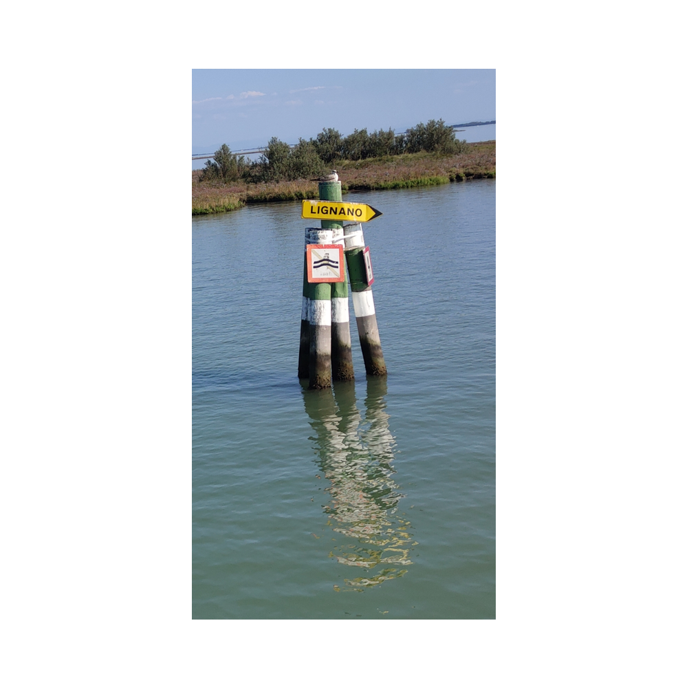 Besuch Consulat Italien, Schiffsfahrt in der Lagune von Marano, Gäste, Speisen und Getränke