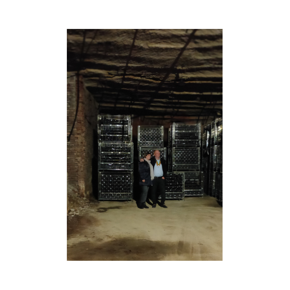 Sektverkostung in der Kellerei Harkamp. Kellerbesuch, Verkostung und Vorträge