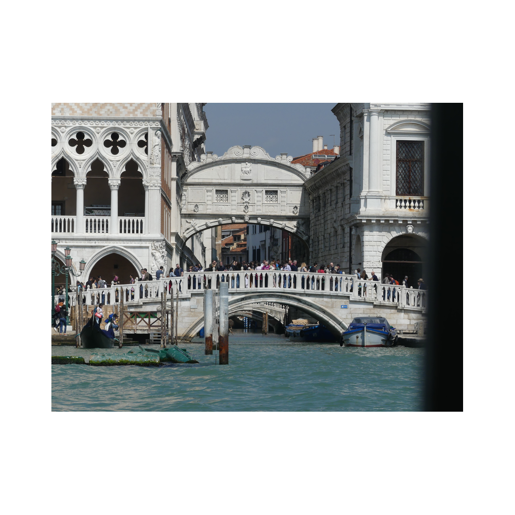 Venedigreise vom Legat Patria Lipizzanae Styriae, Bilder der Reise