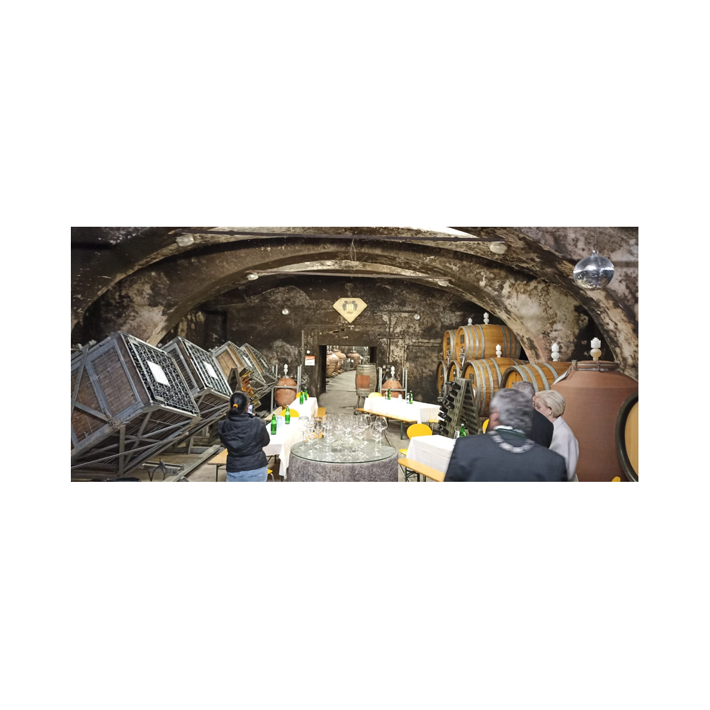 Sektverkostung in der Kellerei Harkamp. Kellerbesuch, Verkostung und Vorträge