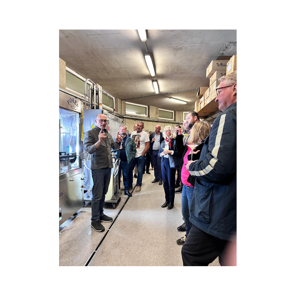 Sektverkostung in der Kellerei Harkamp. Kellerbesuch, Verkostung und Vorträge