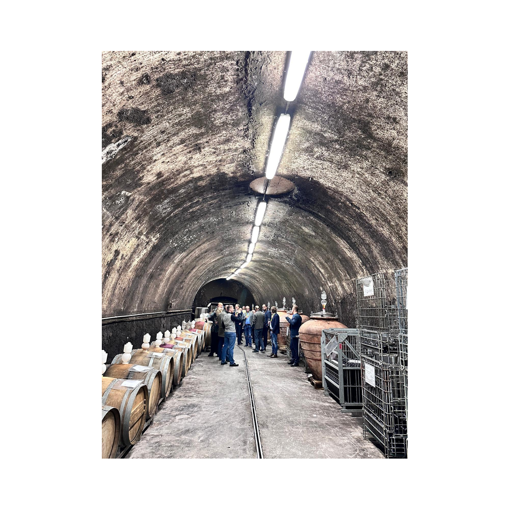 Sektverkostung in der Kellerei Harkamp. Kellerbesuch, Verkostung und Vorträge