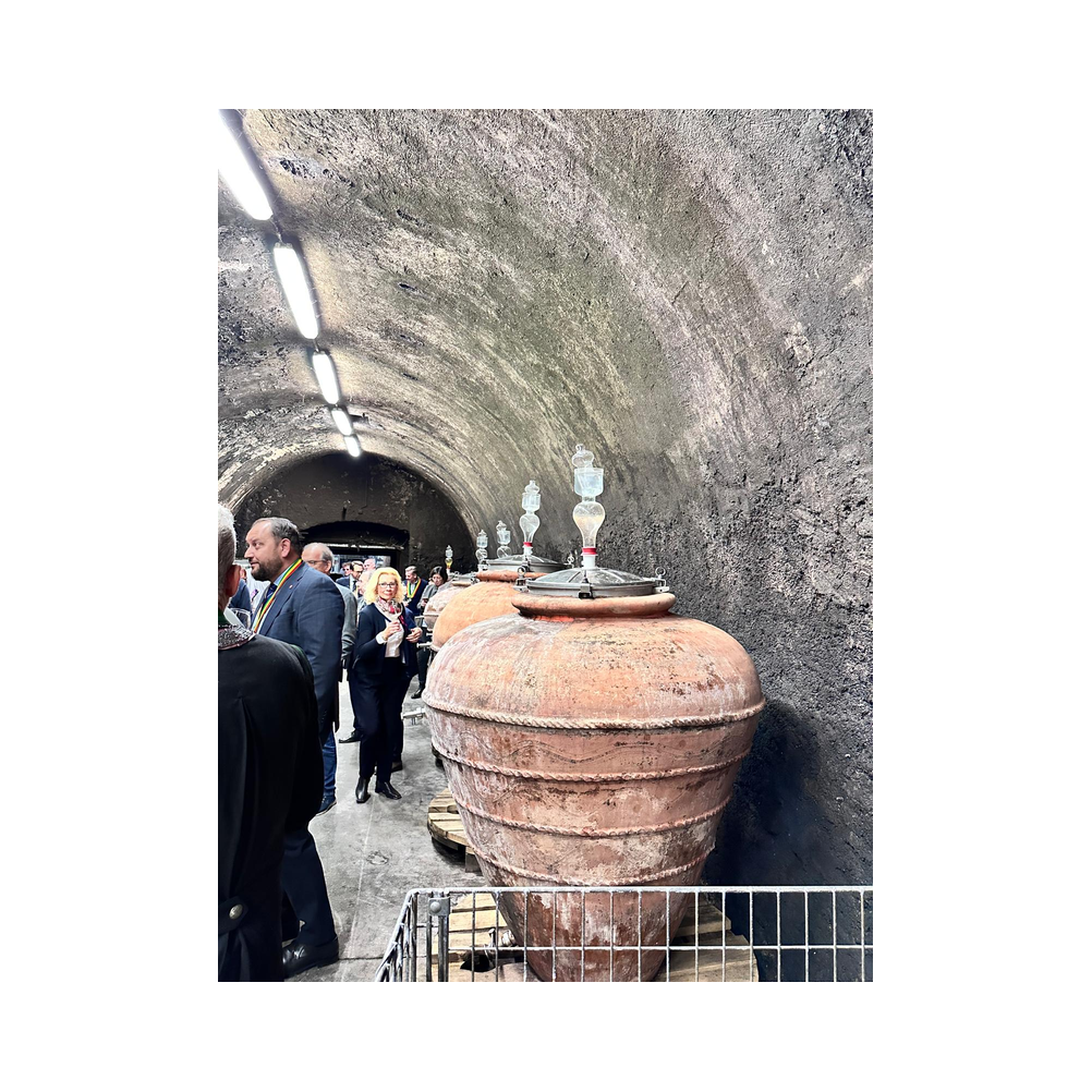 Sektverkostung in der Kellerei Harkamp. Kellerbesuch, Verkostung und Vorträge