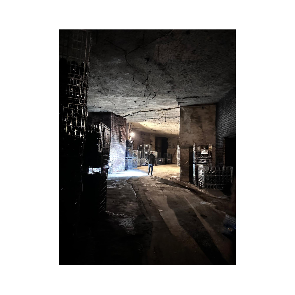 Sektverkostung in der Kellerei Harkamp. Kellerbesuch, Verkostung und Vorträge