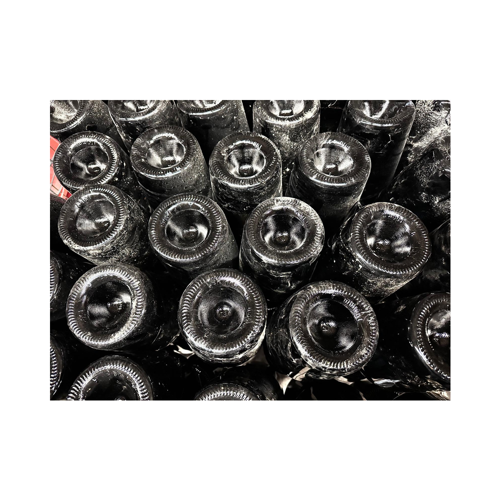 Sektverkostung in der Kellerei Harkamp. Kellerbesuch, Verkostung und Vorträge