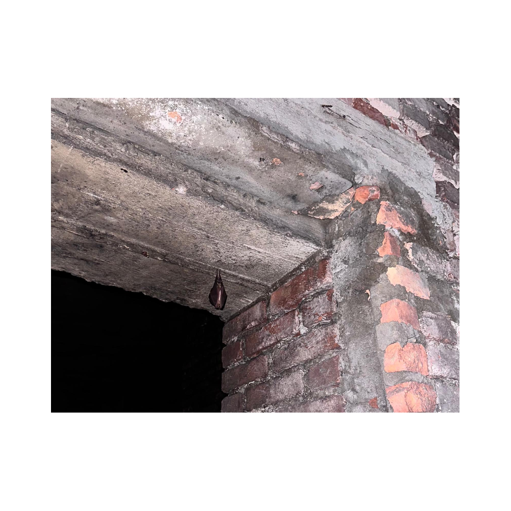 Sektverkostung in der Kellerei Harkamp. Kellerbesuch, Verkostung und Vorträge